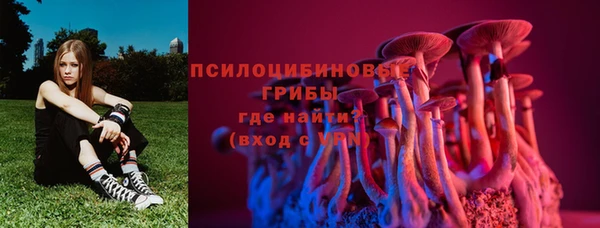 бутират Арсеньев