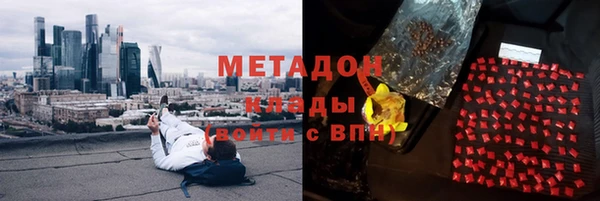 прущие грибы Армянск
