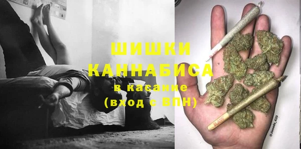 хмурый Аркадак