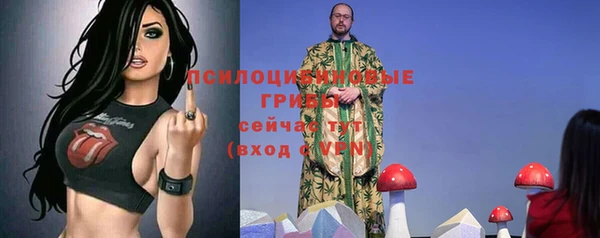 хмурый Аркадак