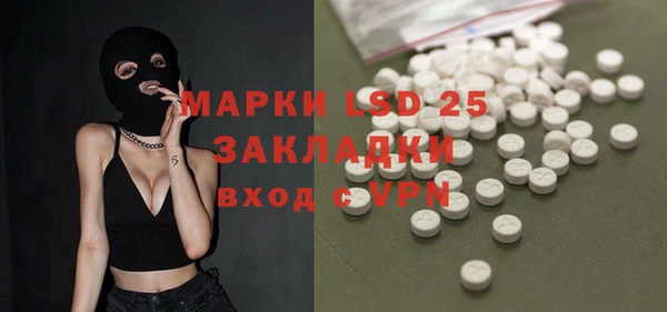 хмурый Аркадак