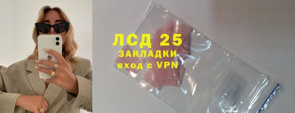 хмурый Аркадак