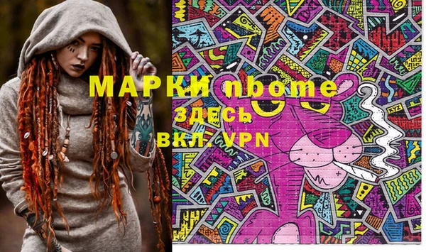 хмурый Аркадак