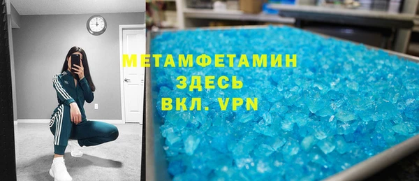 хмурый Аркадак