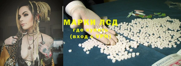 хмурый Аркадак