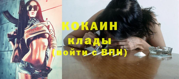 прущие грибы Армянск