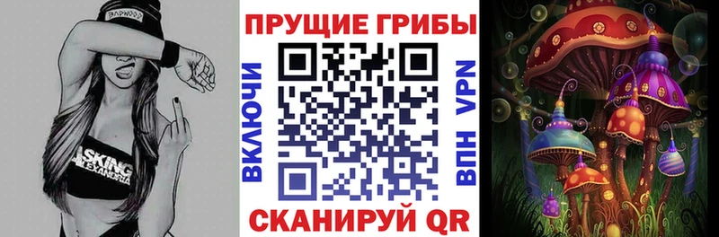Галлюциногенные грибы Psilocybe  Семёнов 